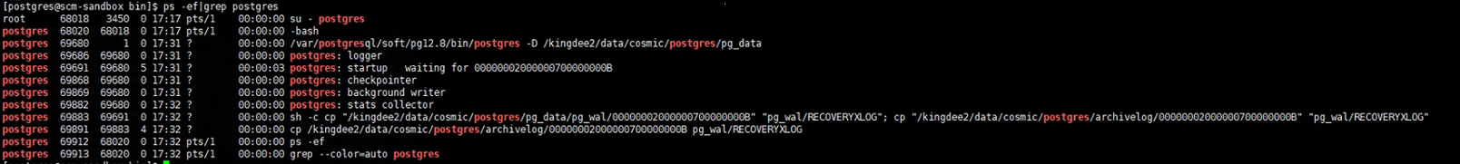 AnyBackup 7.0 PostgreSQL 恢复时勾选数据库联机卡在启动服务中，任务无法结束