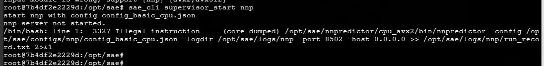 AnyShare-AnyShare Family 7 第四范式 OCR 在虚拟机部署 nnp 服务无法启动，手动重启报错：spawn error